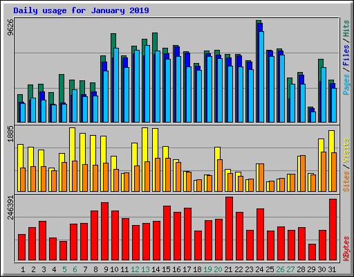 Daily usage for January 2019