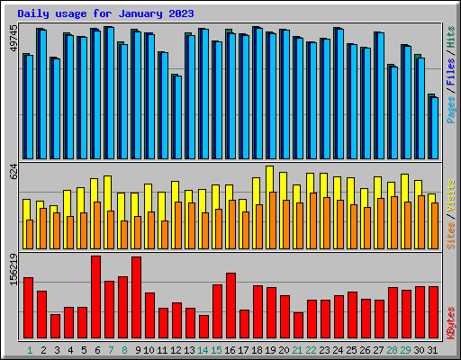 Daily usage for January 2023