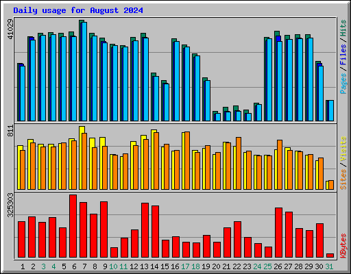 Daily usage for August 2024