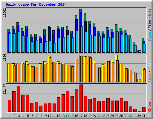 Daily usage for December 2024