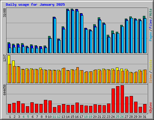 Daily usage for January 2025