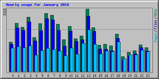 Hourly usage for January 2016