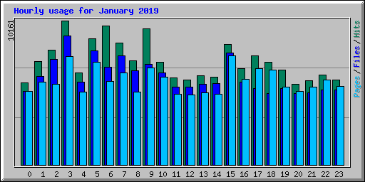 Hourly usage for January 2019