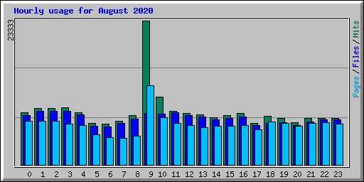 Hourly usage for August 2020