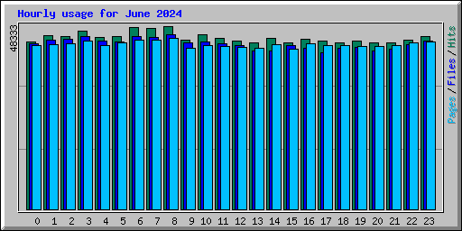 Hourly usage for June 2024