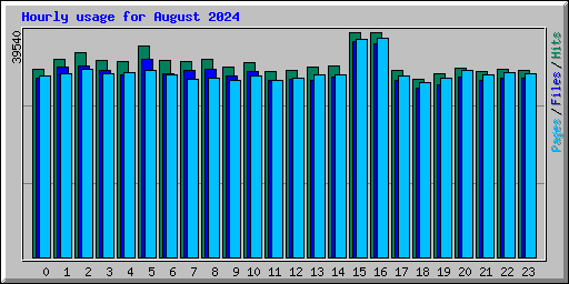 Hourly usage for August 2024