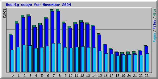 Hourly usage for November 2024