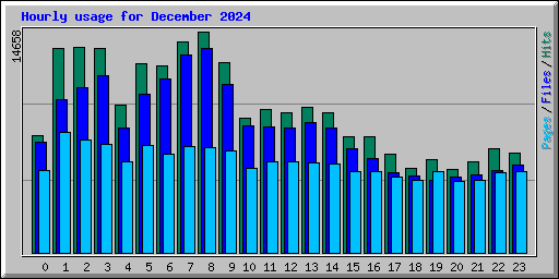 Hourly usage for December 2024