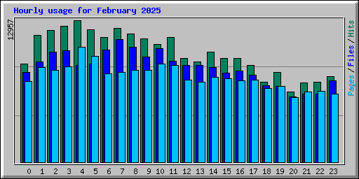 Hourly usage for February 2025