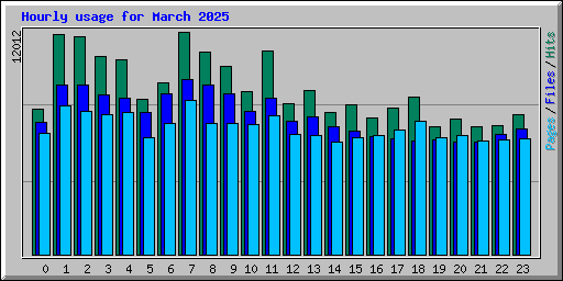Hourly usage for March 2025