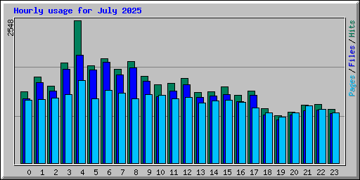 Hourly usage for July 2025