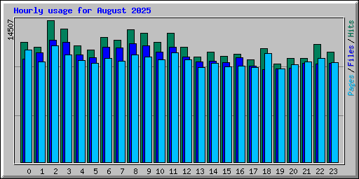 Hourly usage for August 2025