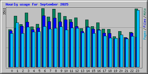 Hourly usage for September 2025